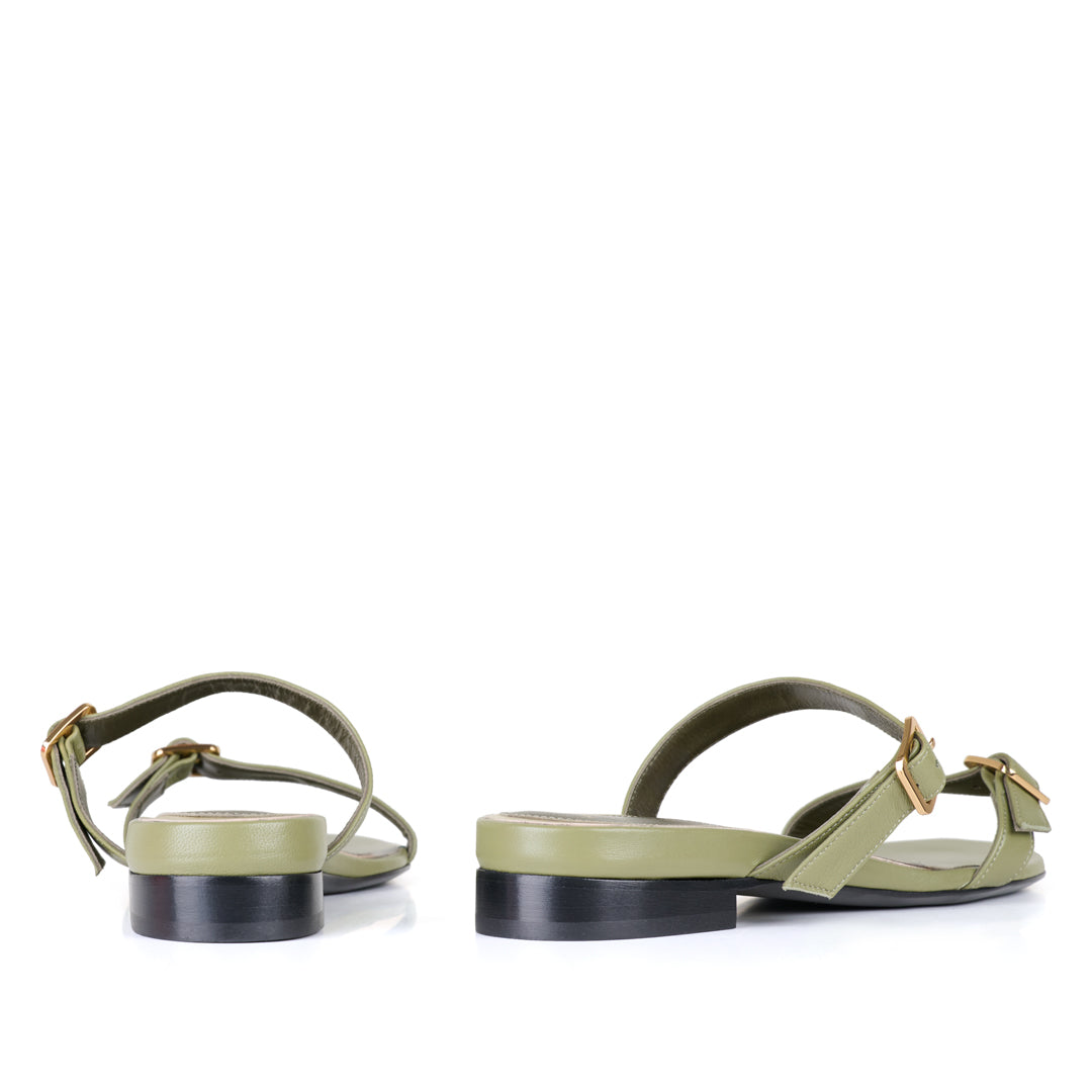 CALYPSO - ウェブ限定